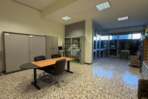 NEGOZIO A ALBA