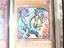Immagine 5