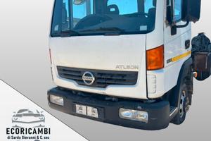 Nissan atleon anno 2008