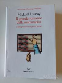 Il grande romanzo della matematica Mickae Launay