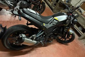 Benelli Leoncino 250