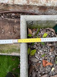 Fioriere robuste con circa 3 piante giovani x vaso