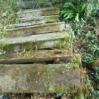 gradini antichi pietra serena