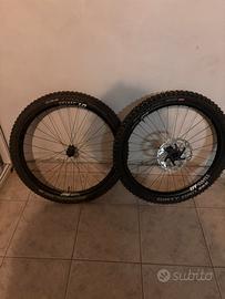 Coppia ruote dtswiss