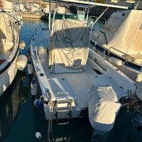 Fiart Brezza 17 Suzuki 40/70