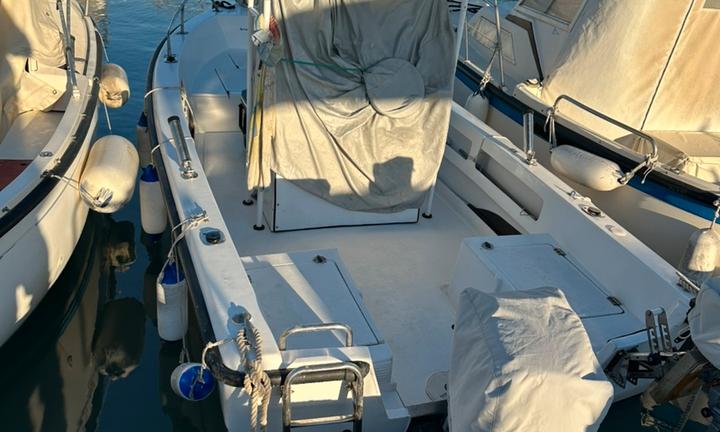 Fiart Brezza 17 Suzuki 40/70