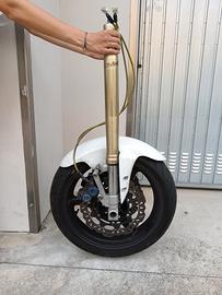 forcelle R1 98-99-00-01