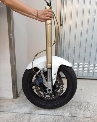 forcelle R1 98-99-00-01