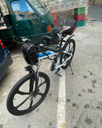 Bici elettrica