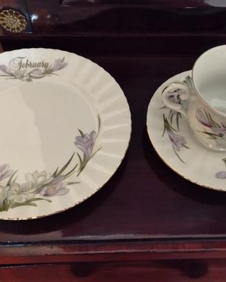 Set Royal Albert "Flower of The Month February"