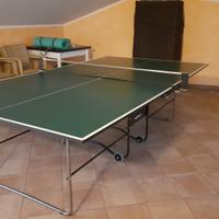 tavolo da ping pong 