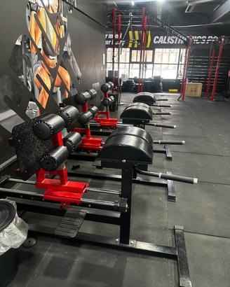 GHD crossfit e palestra professionali