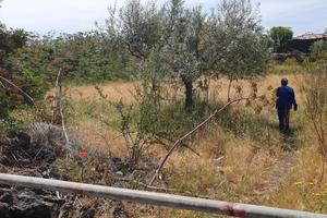Terreno 5000metri casa catastata