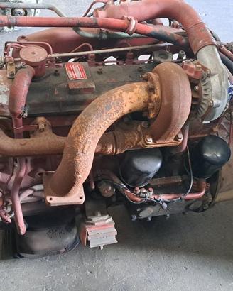 Motore iveco 115.17 / 135.17 - 145.17 (8060.25)
