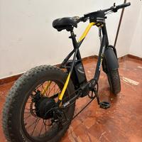 Bici elettrica