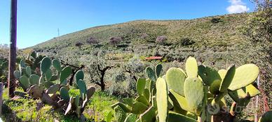 TER. AGRICOLO A GAETA