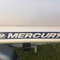 Gommone tender carrello