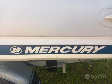 Gommone tender carrello