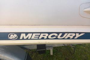 Gommone tender carrello