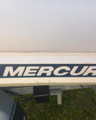 Gommone tender carrello