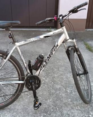 Ibrida Olympia modificata