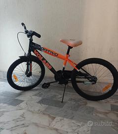 bici 20'