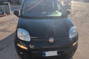 fiat panda  turbo benzina metano