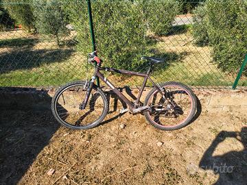 Biciclette usate