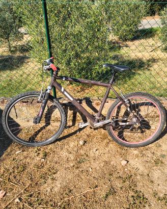 Biciclette usate