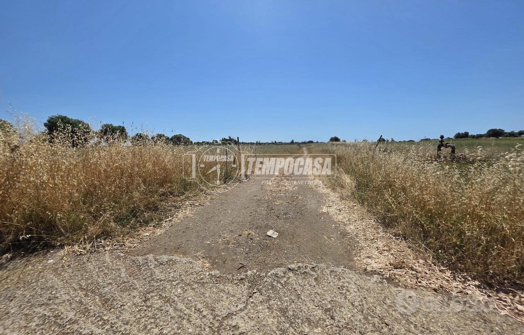 Terreno agricolo - Vista 5