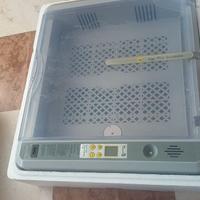 INCUBATRICE