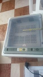 INCUBATRICE