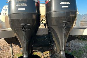 Coppia motori Suzuki 250 df - 500 ORE - 2009