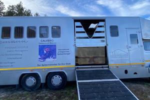 Camion trasporto cavalli