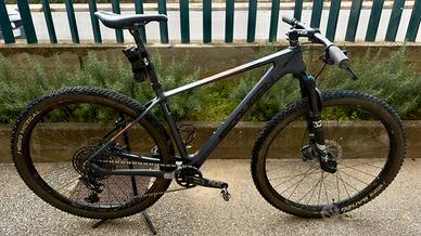 Mountain Bike MTB 29 carbonio - LeeCougan