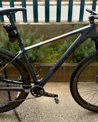 Mountain Bike MTB 29 carbonio - LeeCougan