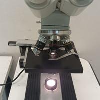 Microscopio binoculare