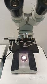 Microscopio binoculare