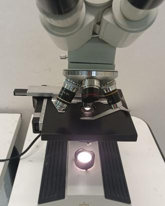 Microscopio binoculare