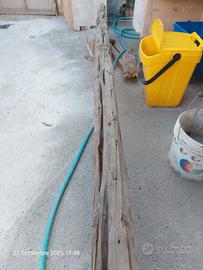 Tronco di Ginepro Sardo