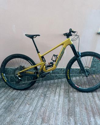 Santacruze Bronson C 2023/4