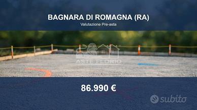 Immobile in asta di 7389 m² a Bagnara di Romagna