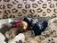 Immagine 25