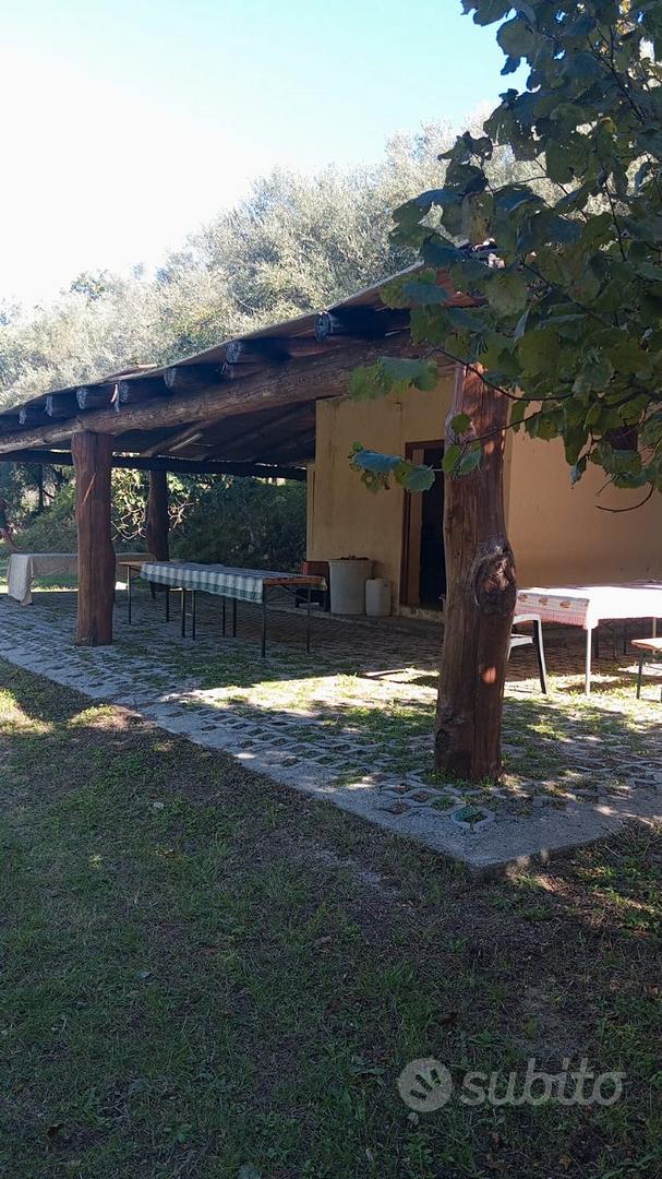 Terreno rustico e casetta - Vista 6