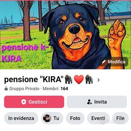 pensione animali