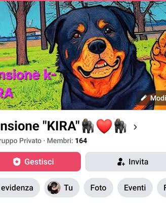 pensione animali