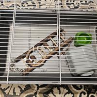 gabbia criceto nuova