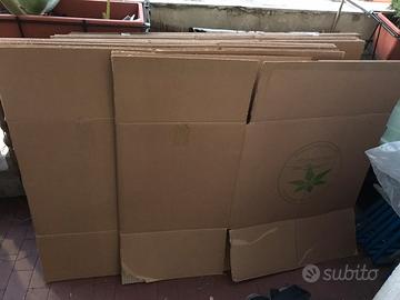 Scattole di cartone