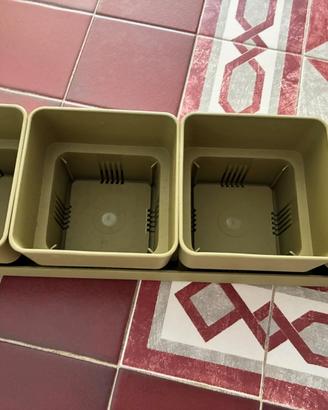 Vaso multiplo Teraplast Sierra