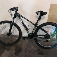 MTB 29’’ daytona